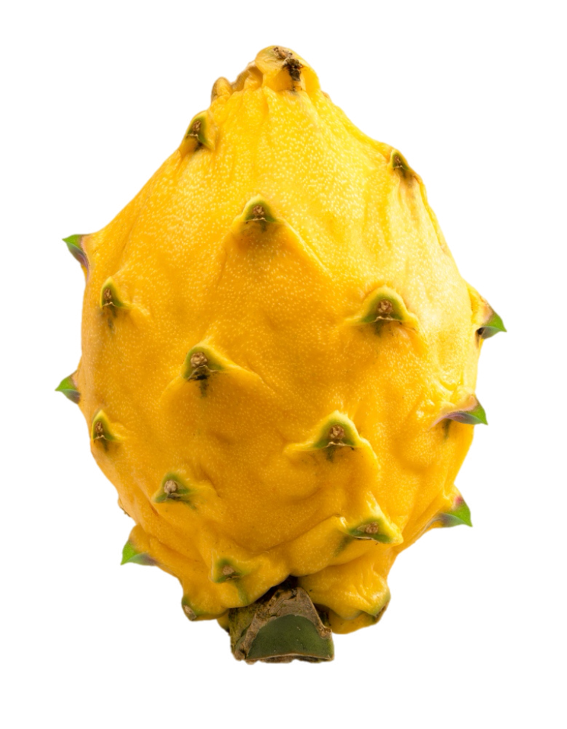 Pitaya